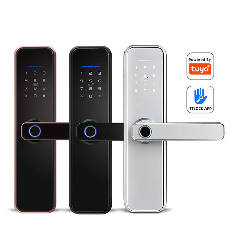 Biometrisch Smart Lock — FM 550